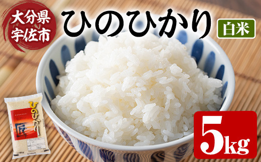 ＜令和7年産＞ひのひかり 白米 (5kg) お米 ごはん ご飯【107101003】【あいはな農園】