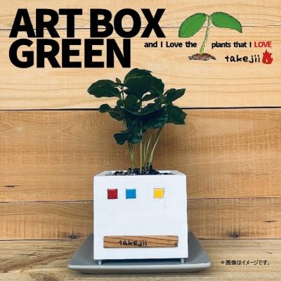 ふるさと納税 赤磐市 インテリア ART BOX GREEN / 002(□) アートボックス[NO5765-1126]