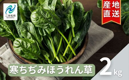 ほうれん草 2kg 10袋 ほうれん草 ほうれんそう