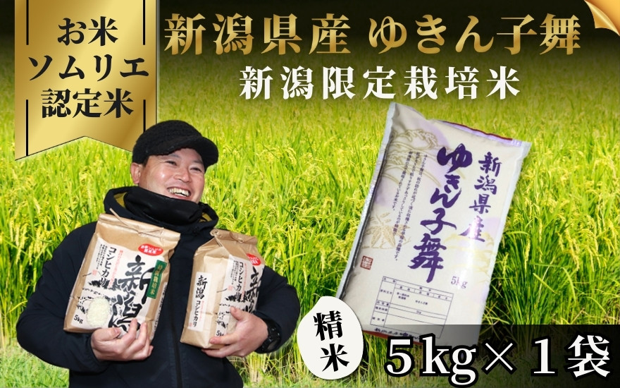 
                  【先行予約】令和8年産 米 5kg 五泉市産 ゆきん子舞 お米ソムリエのお米 | 白米 精米 ゆきんこまい お米 おこめ 新潟県 五泉市 エバーグリーン農場
                