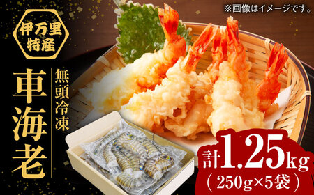 【加熱用】伊万里特産 無頭冷凍車海老 計1.25kg（250g×5袋）/ 海老 海老 海老 海老 海老 海老 海老 / 佐賀県 / 株式会社拓水 伊万里クルマエビセンター [41AEAJ009]