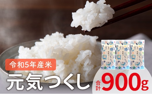 
										
										【令和5年産米】 元気つくし 300ｇ×3袋 YF0305
									