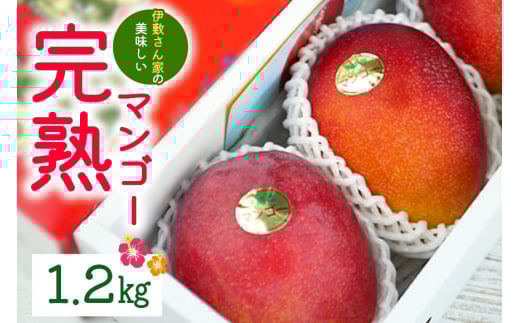【 先行予約 2026年 発送 】 伊敷さん家の美味しい 完熟マンゴー 1.2kg ( 贈答用 ) マンゴー 沖縄県産 マンゴー アップルマンゴー アーウィンマンゴー 果物 南国 くだもの フルーツ 完熟 夏 旬 沖縄 産地直送 農家直送 ギフト 贈答品 糸満市