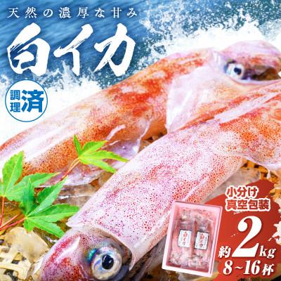 ふるさと納税 京丹後市 BBQにぴったり!白イカ(ケンサキイカ)　調理済み　正味2kg入り(8〜16匹)　※小分け真空包装