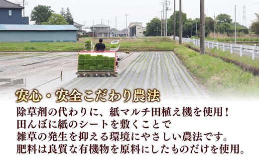 【令和7年産】無農薬・無化学肥料栽培 埼玉県幸手市産特別栽培コシヒカリ 「幸ヒカリ」玄米10kg - 新米発送 コシヒカリ こしひかり 米 玄米 10kg 特別栽培米 幸手市産 埼玉県 幸手市
