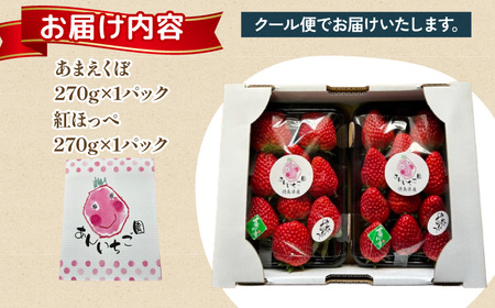 紅ほっぺ あまえくぼ 食べ比べ 540g 苺 いちご いちご いちご いちご いちご いちご