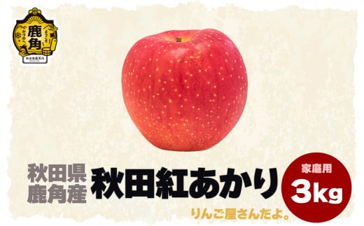 《先行予約》【訳あり】秋田県鹿角産りんご「秋田紅あかり」家庭用 3kg【りんご屋さんだよ。】リンゴ 完熟 蜜入り 旬 県産りんご お中元 お歳暮 贈り物 お見舞い グルメ ギフト 故郷 秋田 あきた 鹿角市 鹿角 送料無料 ●2024年11月5日発送開始