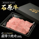 【ふるさと納税】石原牛の霜降り焼肉セット(300g) 石原牛 焼肉用 霜降 国産 牛 ウシ 牛肉 焼肉 BBQ バーベキュー ビーフ 冷凍【石原PRO】ishihara-1350