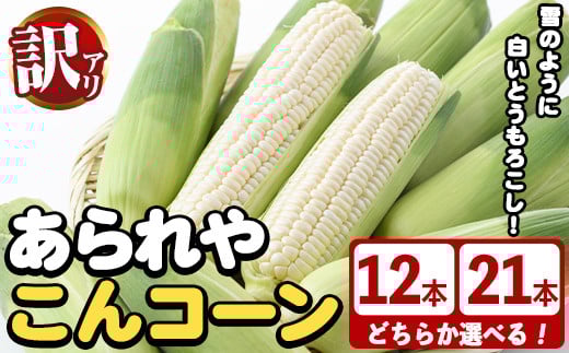 
            ＜先行予約受付中！2025年6月中旬以降順次発送予定＞＜容量が選べる！＞訳あり！白いとうもろこし「あられやこんコーン」(12～21本) 国産 トウモロコシ 玉蜀黍 ホワイト コーン 野菜 糖度 夏 イネ科 数量限定 期間限定 訳アリ 旬 【うとさんち】
          