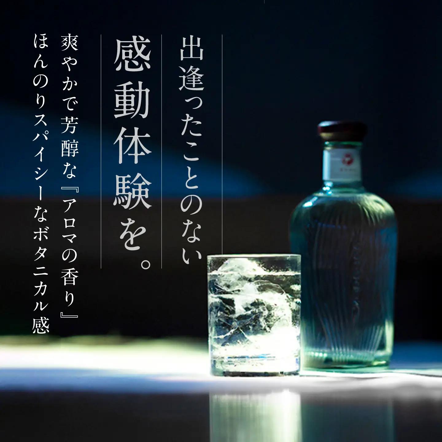 【6回定期便】GOTOGIN（ゴトジン）500ml クラフトジン 五島市/五島つばき蒸溜所[PEW003]  椿 酒 ジン 地酒 蒸留酒 ボトル 瓶 お酒 ジン 五島 九州 五島列島スピリッツ 椿 酒