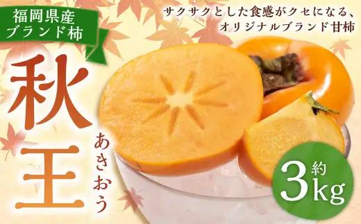 福岡県産ブランド柿・秋王 約3kg （8-12玉） 柿 カキ かき 果物 くだもの フルーツ 冷蔵 国産 岡垣町 【2026年10月下旬～11月下旬発送予定】