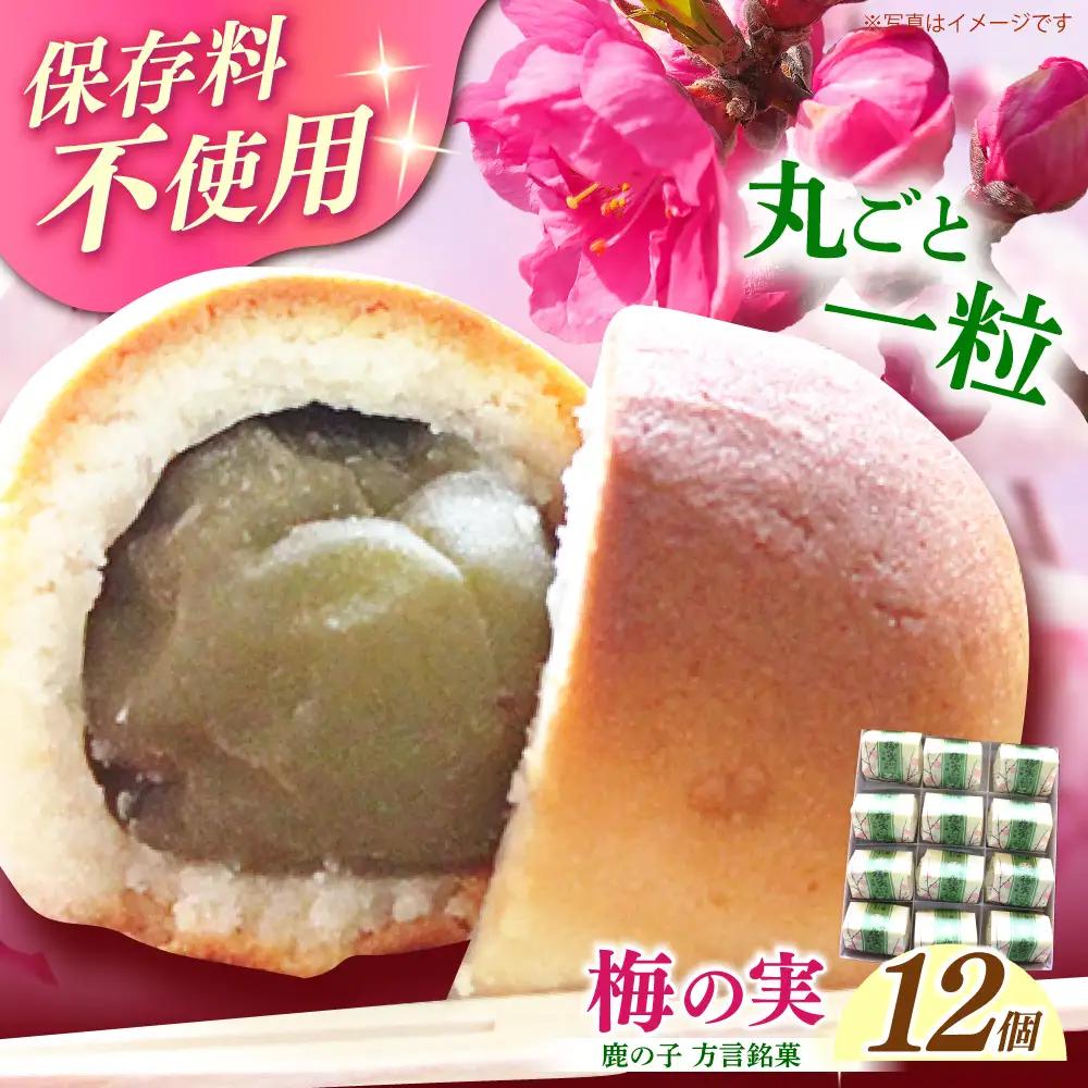 和菓子 築上銘菓「 梅の実 」12 個 [ABAC019] 和菓子