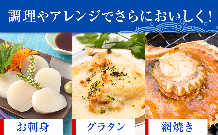 【西日本限定発送】浜崎水産の緋扇貝 15個 《12月上旬‐12月末出荷》 【配送不可地域あり】 海鮮 海産物 海の幸 魚貝類 シーフード 貝 貝類 緋扇貝 浜崎水産 贈答 熊本県 苓北町---d05r