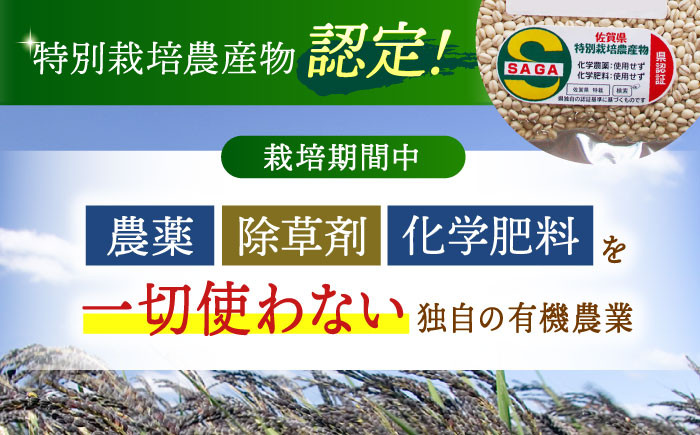 麦 雑穀 雑穀米 麦ごはん 1等麦 特別栽培農産物 佐賀 食物繊維 胚芽押麦 500g ご飯 定期便