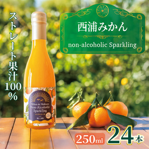 西浦 みかん スパークリング ジュース ストレート 果汁 100％ 250ml×24本 蜜柑 贈答用 静岡 沼津