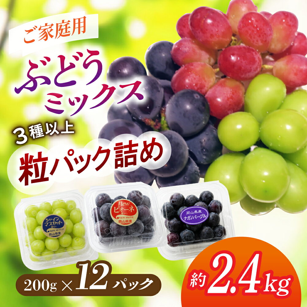 【ふるさと納税】 〈パック詰め〉岡山県産ぶどう 3種ミックス 約2.4kg 12パック数量限定 【期間限定 9月～10月末頃】 ｜ フルーツ 先行予約 ブドウ 葡萄 果物 くだもの 新着 人気 シャインマスカット ピオーネ ナガノパープル オーロラブラック シャイン 瀬戸ジャイアンツ
