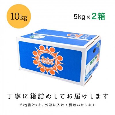 甘夏＆サンフルーツ各5kg【D20−10】【1094576】