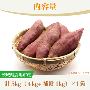 訳あり さつまいも 5kg 生いも 普通栽培 紅はるか さつまいも