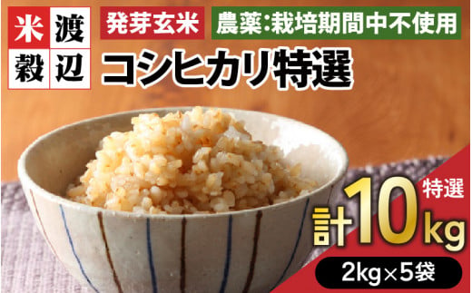 【令和6年産・新米】発芽玄米 コシヒカリ「特選」特別栽培米使用 2kg×5袋（計10kg）【米 こしひかり 玄米 ギャバ GABA 特別栽培 食物繊維 栄養 真空パック ごはん ご飯 おいしい ふるさと納税米】 [D-2924]