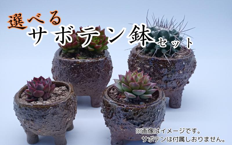 
                  眞名焼 サボテン鉢 小＋中サイズ　｜鳥取 岩美 鉢 丸型 角型【71014】
                