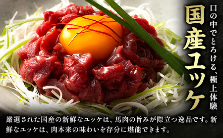 本場 熊本特産 馬刺し 4種の食べ比べ 道の駅竜北  熊本県 氷川町 肉 馬肉 国産 赤身 上赤身 ユッケ 国産ユッケ 馬肉 赤身 ふじ馬刺し セット 食べ比べ 