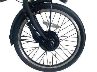 PELTECH（ペルテック）ノーパンク 折り畳み電動アシスト自転車 20インチ 折り畳み外装6段変速（TDN-208LN）【簡易組立必要】【ブルー×ブラック】