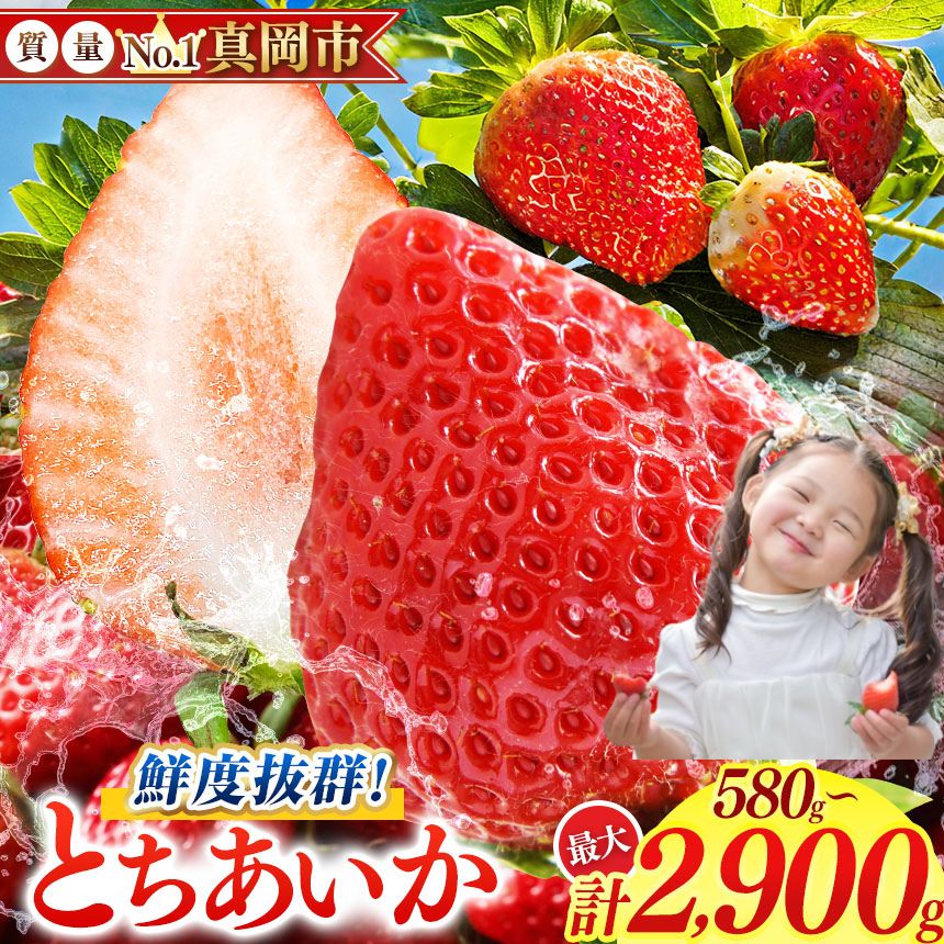 【ふるさと納税】 いちご 苺 農林水産大臣賞 選べる 朝採れ 旬 鮮度抜群 とちあいか 約580～約2900g | 容量 1箱 2箱 3箱 4箱 5箱 日本一 産地 大粒 冬 味覚 ストロベリー 大きい ジューシー 甘い あまい 甘味 たっぷり 大容量 | 人気 レビュー 栃木県 真岡市 送料無料