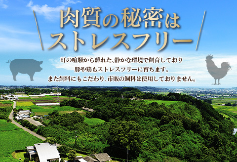 宮崎県産 鶏ムネ・豚ミンチ 6kgセット【C326】