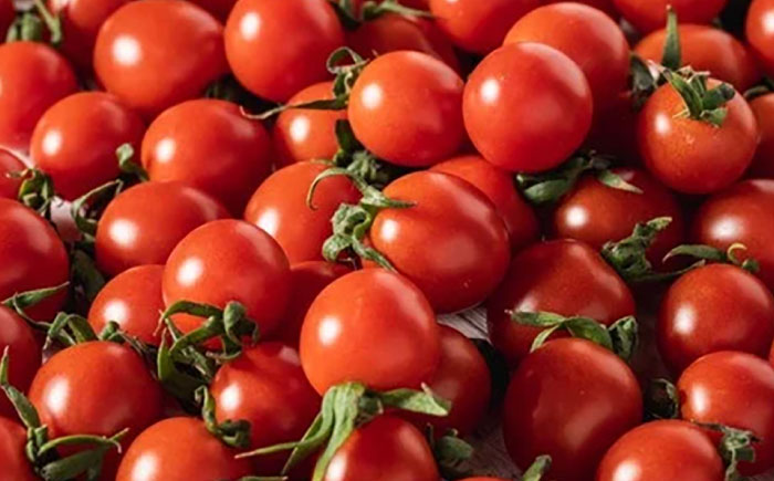 宮トマトのトマトピューレ 100g×5 / トマト ピューレ 濃縮ピューレ とまと 100％ / 諫早市 / 宮下農園 [AHCG034]