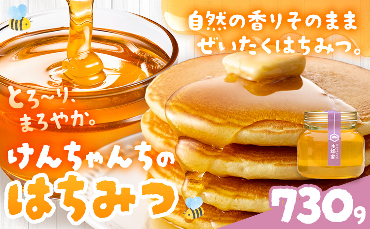 けんちゃんちの国産蜂蜜 730g《30日以内に出荷予定（土日祝除く）》| ふるさと納税 はちみつ ハチミツ 蜂蜜 国産蜂蜜 天然蜜蜂 徳島県 佐那河内村 送料無料