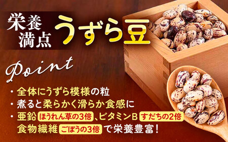 北海道 あしょろの中長うずら豆 1kg×2袋  豆 豆 豆 豆 豆 豆[BEAA022]