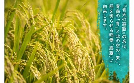 青天の霹靂 (特別栽培米) 白米5kg 令和7年産 青森県産米 [お申込み後に精米] [お申込み後に精米] [0898]