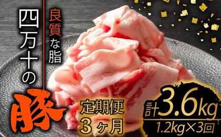 【定期便3回】高知県産 ブランドポーク 豚肉 切り落とし 計3.6kg（1.2kg×3ヶ月連続お届け) 2Eコース | 国産豚肉 しゃぶしゃぶ用豚肉 バラ肉豚肉 小分け豚肉 小間切れ豚肉 スライス豚肉 冷凍 TM33000