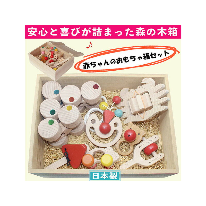 【ふるさと納税】木のおもちゃ/赤ちゃんのおもちゃ箱セット(Eタイプ) はがため 歯がため 出産祝い 車 押し車 日本製 おしゃぶり 赤ちゃん プルトイ 引き車 男の子 女の子 3ヶ月 4ヶ月 5ヶ月 6ヶ月 7ヶ月 8ヶ月 9ヶ月 10ヶ月　上田市