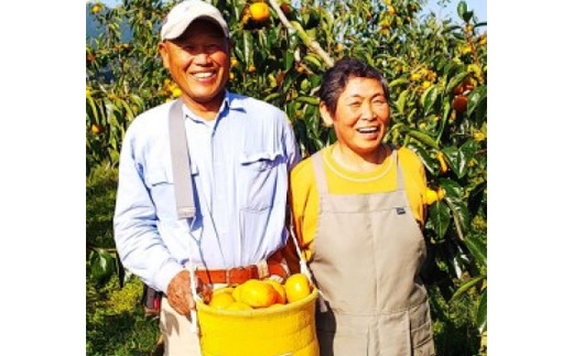 【2026年秋より順次発送】旬のたねなし柿　特選2Lサイズ(15個入り)【配送不可地域：離島・北海道・沖縄県】