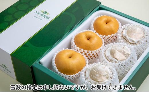 梨 2024年 先行予約 あたご梨 4～6玉 合計約4.5kg 贈答箱 ナシ なし 岡山県産 国産 フルーツ 果物 ギフト 石原果樹園 [No.5220-0569]