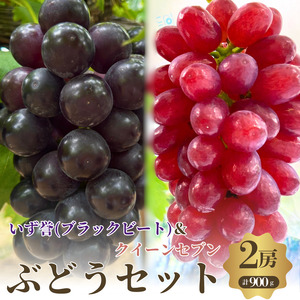 【先行予約】【数量限定】おすすめ感謝 セット ぶどうセット クイーンセブン 泉湧誉 2房 詰め合わせ 葡萄 ぶどう ブドウ 食べ比べ フルーツ 果物 季節のフルーツ  大阪 大阪府 岸和田市