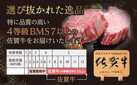 ｂ－３４９ 佐賀牛を使用した老舗の贅沢ハンバーグ（12個入）| ハンバーグ ハンバーグ ハンバーグ ハンバーグ ハンバーグ ハンバーグ ハンバーグ ハンバーグ ハンバーグ ハンバーグ ハンバーグ ハン