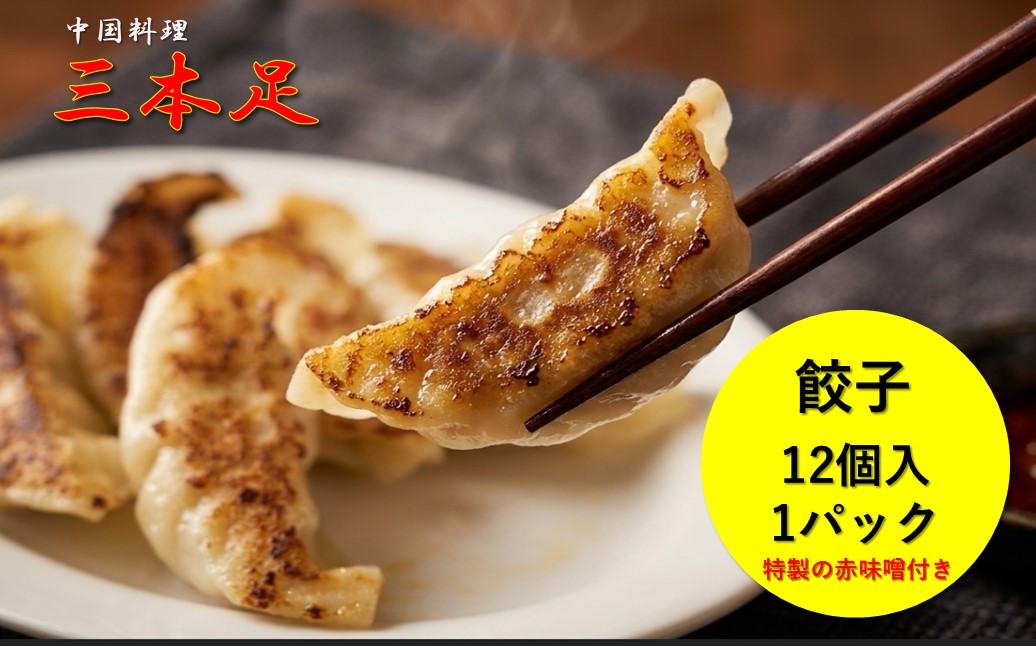 1244 中国料理「三本足」　中華３点セット　餃子　麻婆なす　回鍋肉