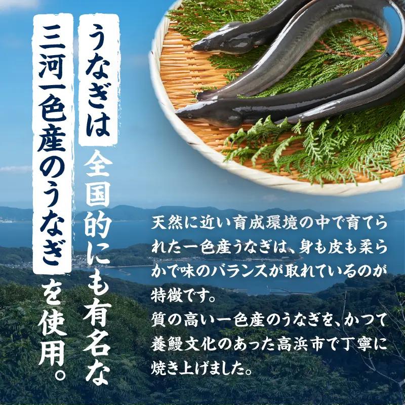 三河一色産うなぎの蒲焼２尾_47-318-1