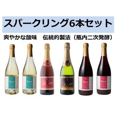 ふるさと納税 池田町 十勝ワインスパークリング6本セット【C002-1-1】