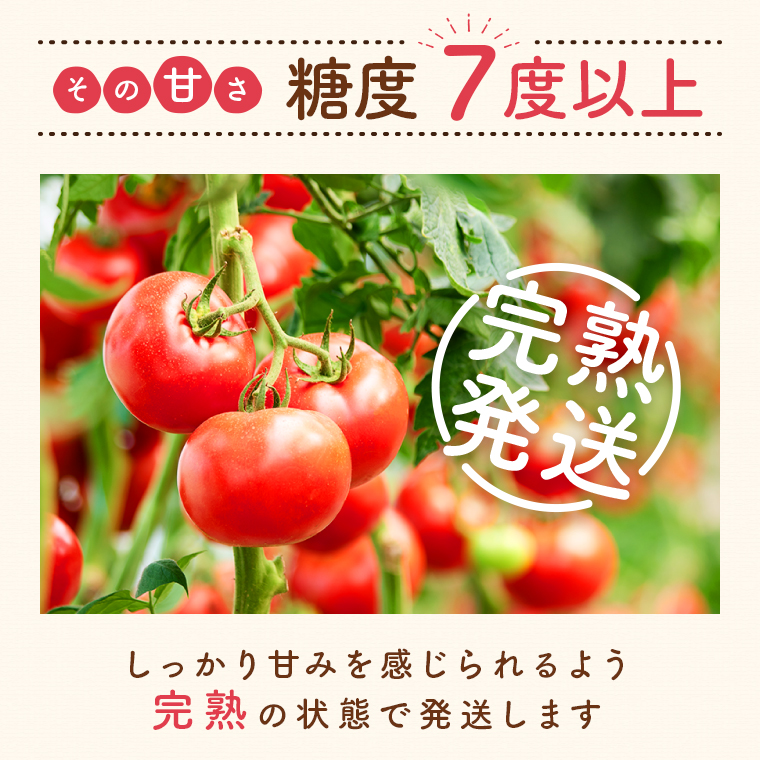 【P74002】こだわり完熟トマト_イメージ2