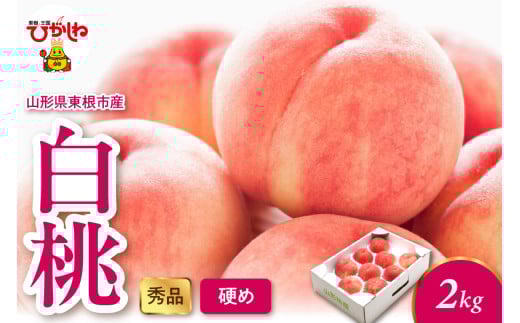 2026年産 白桃（硬め） 2kg 秀品 山形県 東根市 hi082-053
