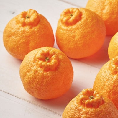 【ふるさと納税】佐賀産 デコポン 約2.5kg (8-11玉) (伊万里市) 柑橘類 147-B804