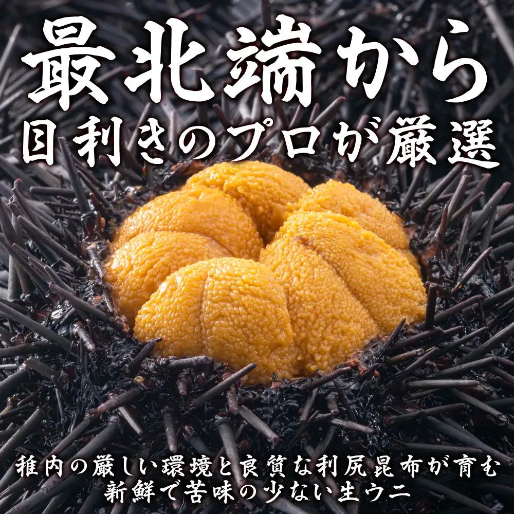 【うにの名産地稚内市】最北端の生むらさきうに(100gパック×2)