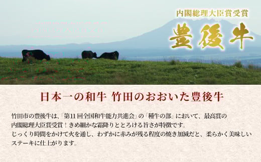 【定期便6回】日本一の和牛 おおいた豊後牛 1ポンド エアーズロック 極厚ステーキ 約454g×6回  計6ポンド （約2724g）