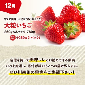 ※期間限定※【3ヶ月定期便】メロンといちごの定期便Vol.2 【 川南町産 くだもの メロン いちご イチゴ  】