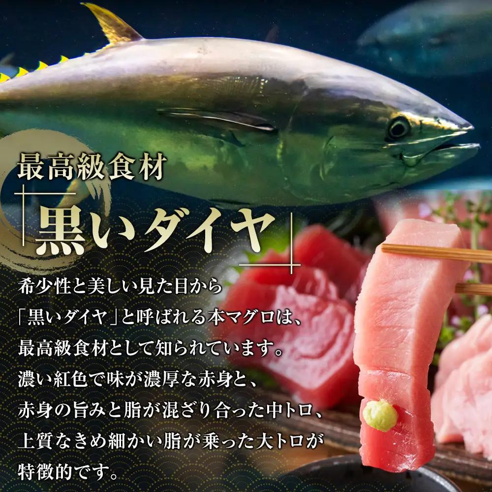 クロマグロ 鹿児島県奄美大島産高級食材『黒いダイヤ』クロマグロ Bセット