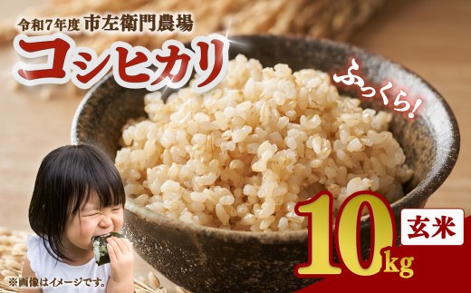 令和7年産 コシヒカリ 10kg 玄米 │ 米 こめ こしひかり ご飯 10キロ 2025年産 茨城県産 茨城県 つくば市