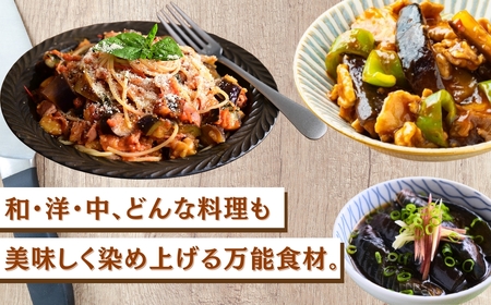 なす 4kg(40個以上) なす ナス 茄子 野菜 | 石川県 小松市 JAあぐり